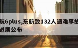 东航6plus,东航致132人遇难事故调查进展公布