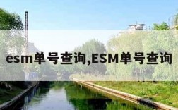 esm单号查询,ESM单号查询