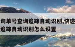 快递查询单号查询追踪自动识别,快递查询单号查询追踪自动识别怎么设置